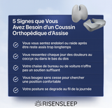 OrthoSupport™ – Coussin Ergonomique Pour Bureau