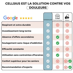 Coussin Orthopédique Dossier Cellsius - Soulage les douleurs lombaires et dorsales