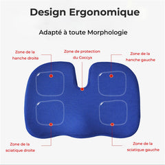 Coussin Orthopédique d'Assise Cellsius - Soulage les douleurs du coccyx et lombaires